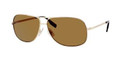 HUGO BOSS 0395/P/S Sunglasses 0J5G Gold 62-12-135