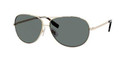 HUGO BOSS 0396/P/S Sunglasses 03YG Gold 60-12-135