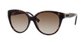 Hugo Boss 0372/S Sunglasses 0086CC Dark Havana (5616)