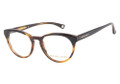 Michael Kors Eyeglasses MK260 226 Brown Horn 47-18-135