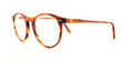Polo Eyeglasses PH 2083 5007 Havana Striped 46-20-145