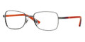 Ray Ban Eyeglasses RY1036 4022 Silver 45-16-125