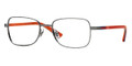 Ray Ban Eyeglasses RY1036 4022 Silver 47-16-125