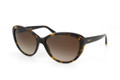 DKNY DY 4084 Sunglasses 301613 Tort 57-16-135