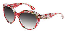 Dolce & Gabbana Sunglasses DG 4236 28458G Red Peach Flowers 56-19-140 ...