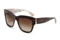 Dolce & Gabbana Sunglasses DG 4231 2841T5 Havana Aqua Peach Flowers 54-19-140