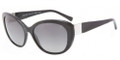 Giorgio Armani Sunglasses AR 8030H 5017T3 Black 58-18-140