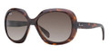 Ray Ban Sunglasses RB 4208 610113 Top Havana On Brown 55-14-135