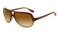 Ray Ban Sunglasses RB 4162 824/51 Brown 59-15-140