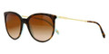 Tiffany Sunglasses TF 4087B 81343B Havana Blue 55-19-140