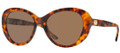 Versace Sunglasses VE 4273 507473 Havana 56-18-140
