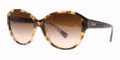 COACH HC 8007 Sunglasses 504513 Spotty Tort 58-16-135