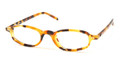 Ralph Lauren RL6008 Eyeglasses 5031 Spotted Tort (4819)