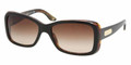 RALPH LAUREN RL 8066 Sunglasses 526013 Blk Havana 55-16-135