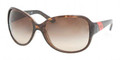 Ralph Lauren RL8067 Sunglasses 517513 Dark Havana