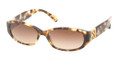 COACH HC 8012 Sunglasses 504513 Spotty Tort 53-15-140