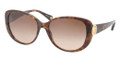 COACH HC 8014 Sunglasses 500113 Tort 57-17-135