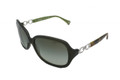 COACH HC 8019 Sunglasses 50368E Olive 58-16-135