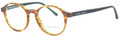 Giorgio Armani Eyeglasses AR 7004 5597 Brown Panto 49mm