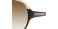 Balenciaga 0067 Sunglasses 0G0G02 Horn Walnut Crystal