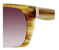 Balenciaga 0081 Sunglasses 07Q102 Horn
