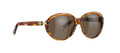 Balenciaga 0009 Sunglasses FBS8U  STRITED Br