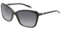 Tiffany & Co. TF4057B Sunglasses 8001T3 Blk
