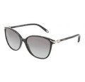 Tiffany & Co. TF4061G Sunglasses 80013C Blk