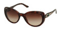 Bvlgari BV8091B Sunglasses 851/13 DARK HAVANA