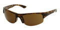 Ray Ban RB4173 Sunglasses 710/73 SHINY HAVANA