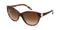 Tiffany & Co Sunglasses TF 4065B 80023B Havana 58MM