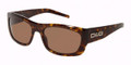 D&G DD3012 Sunglasses 502/73 HAVANA