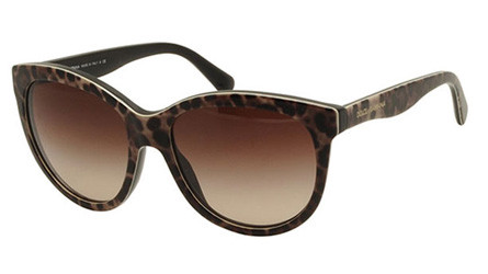dolce gabbana leopard sunglasses