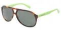 Dolce Gabbana Sunglasses DG 4169P 268771 Top Havana On Grn Grn 61MM