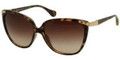 D&G Sunglasses DD 8096 502/13 Havana 58MM