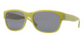 Burberry Sunglasses BE 4135 337487 Grn Grey 58MM