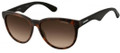 Carrera Sunglasses 6004/S 04NC Havana 55MM