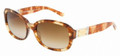 Dolce Gabbana DG4086 Sunglasses 173413 HAVANA HONEY ARROWN