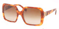 Tory Burch Sunglasses TY 7058 503/13 Honey Tort 55MM