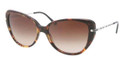 Ralph Lauren Sunglasses RL 8094B 535113 Havana 57MM