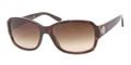 Ralph Lauren Sunglasses RL 8102B 500313 Dark Havana Br Grad 57MM