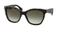 PRADA Sunglasses PR 20PS MA50A7 Top Medium Havana/Blk 56MM