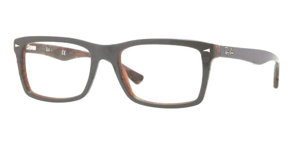 Ray cheap ban 5287