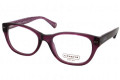 COACH Eyeglasses HC 6029 5043 Purple 49MM
