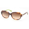 Coach Sunglasses HC 8039 504013 Tort Br Grad 57MM