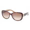 Coach Sunglasses HC 8040B 503313 Br Grad 58MM