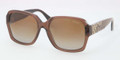 Coach Sunglasses HC 8044 5106T5 Br Khaki 55MM