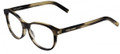 YVES SAINT LAURENT Eyeglasses CLASSIC 9 0WT3 Dark Horn 51MM