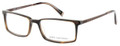 JOHN VARVATOS Eyeglasses V336 Br Horn 55MM