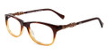 LUCKY BRAND Eyeglasses PALM Br Grad 52MM